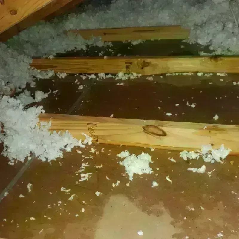 Attic Water Damage in La Salle Parish, LA